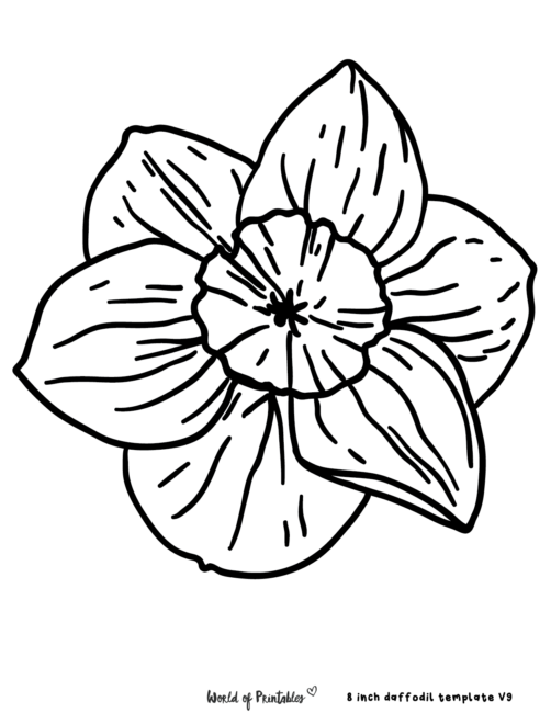 Giant Flower Template Daffodil