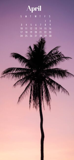 Palm Tree April Wallpaper