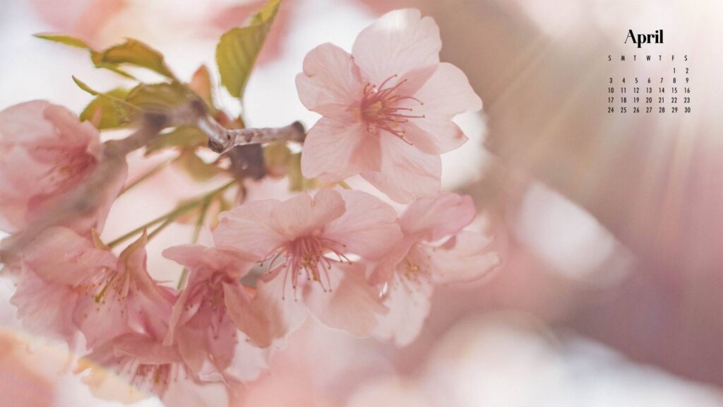 April Wallpaper | 65 Best Desktop & Phone April Backgrounds