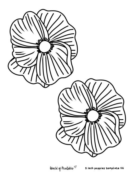 Poppy Printable Flower Template