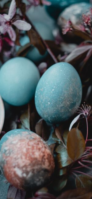 Pretty Easter Egg Background