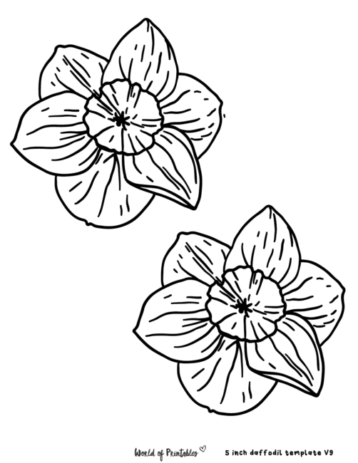 Printable Daffodil