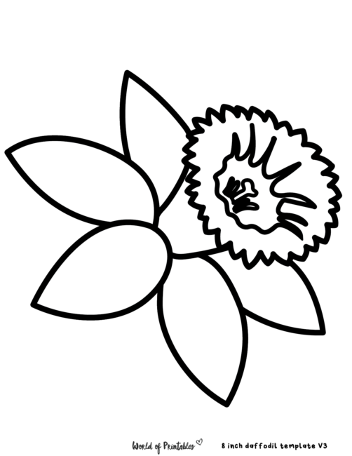 Printable Daffodil Flower