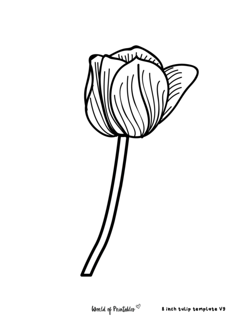 Printable Tulip Flower