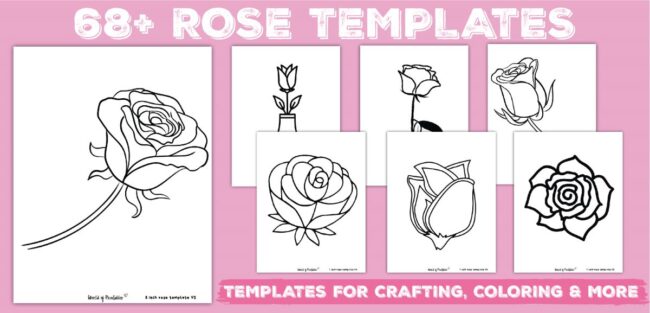 68 Rose Template options to use, printable, cricut and more