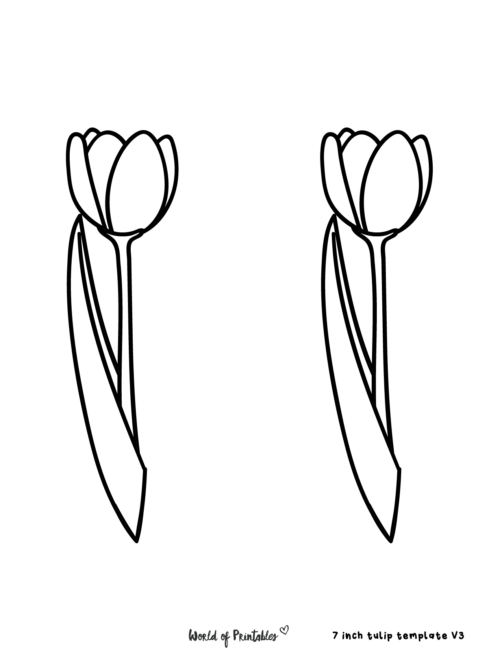 Tulip Template Simple