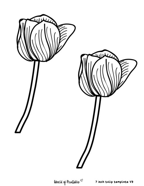 Tulip Template to Colour