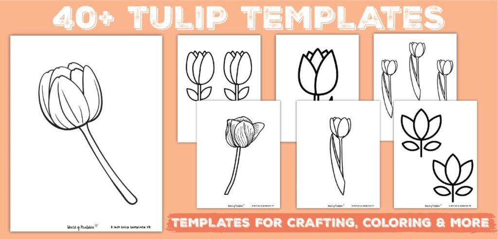 Tulip Templates - 40 to choose from for printable coloring and craft projects