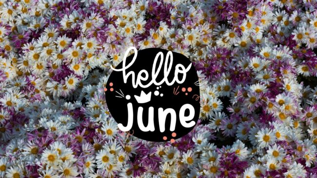 Flower Hello June Desktop Wallpaper