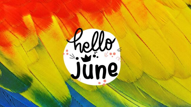 Hello June Background Colorful