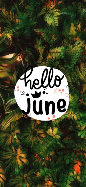 Hello June Wallpaper Botanical