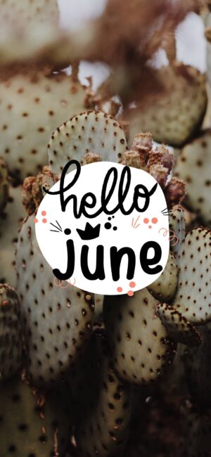 Hello June Wallpaper Cactus