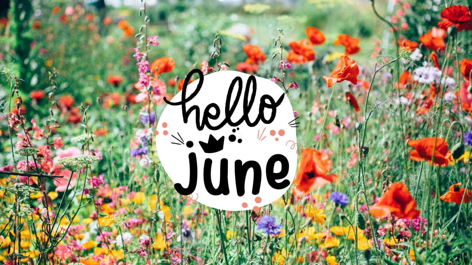 Spring June Photo Hello June | 80 Beautiful Wallpapers & Ideas For June Vibes