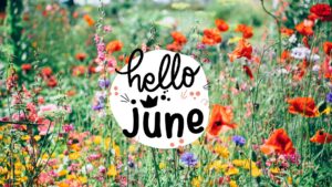 Hello June | 36 Beautiful Wallpapers & Ideas For June Vibes