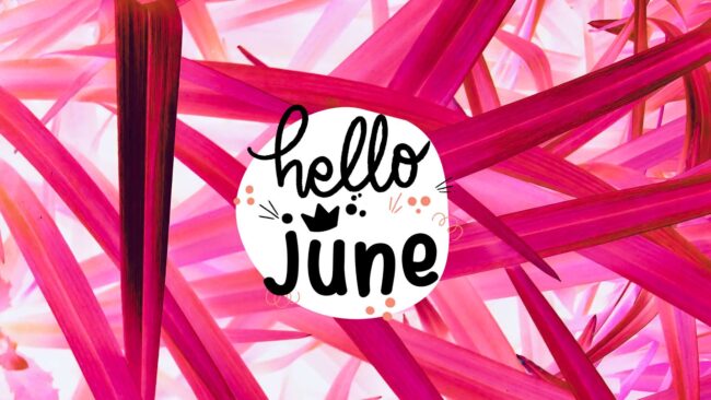 Pink Hello June Wallpaper