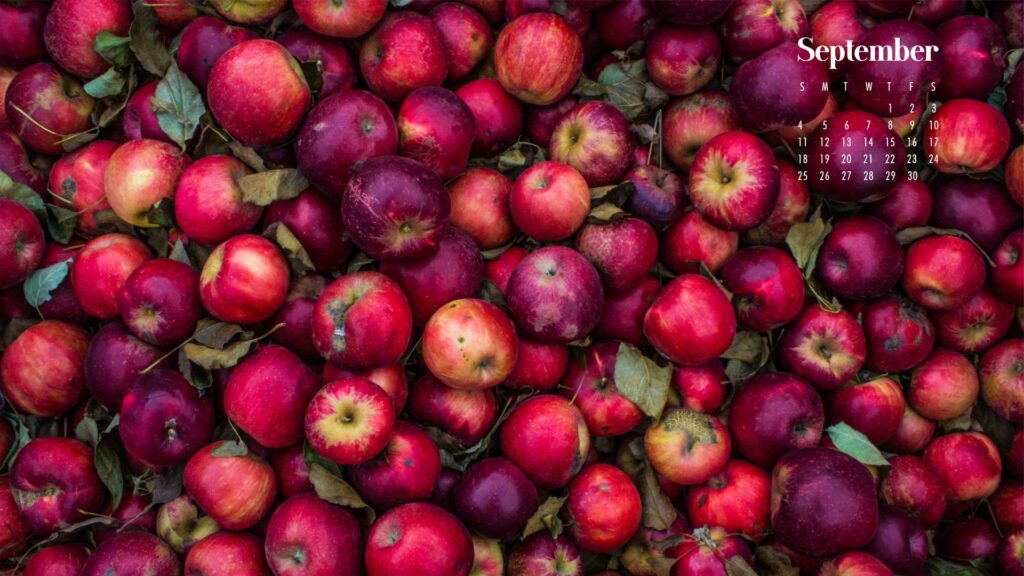 Apple September Wallpaper 2022
