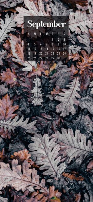 Fall September Wallpaper iPhone