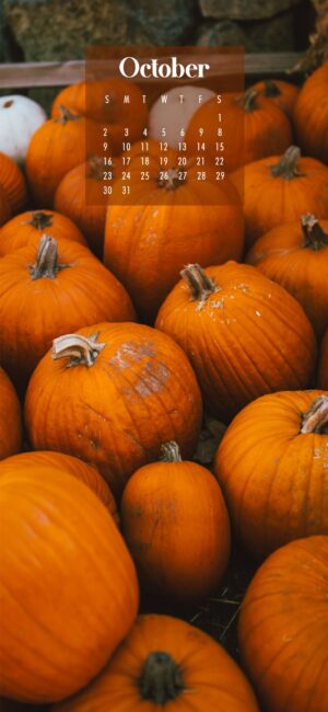 October Calendar Wallpaper Pumpkin