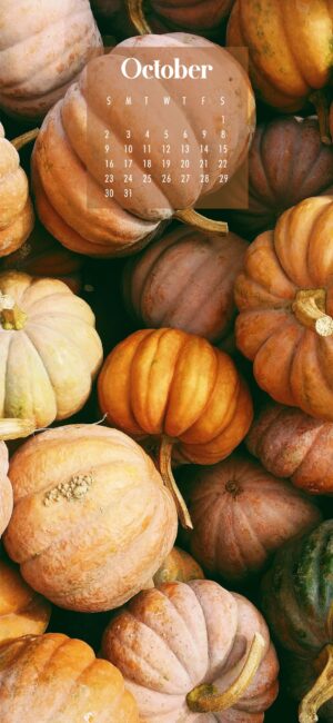 Pumpkin October Background