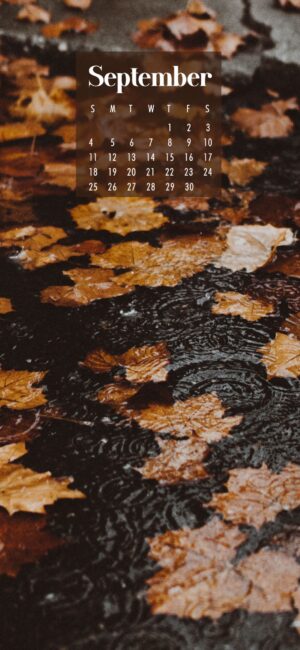 Rain September Calendar Wallpaper