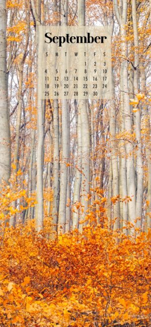 September 2022 Calendar Wallpaper Trees