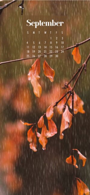 September Wallpaper Rain