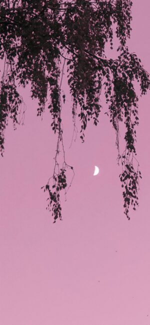 Purple Moon Phone Wallpaper