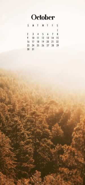Forest October Wallpaper iPhone