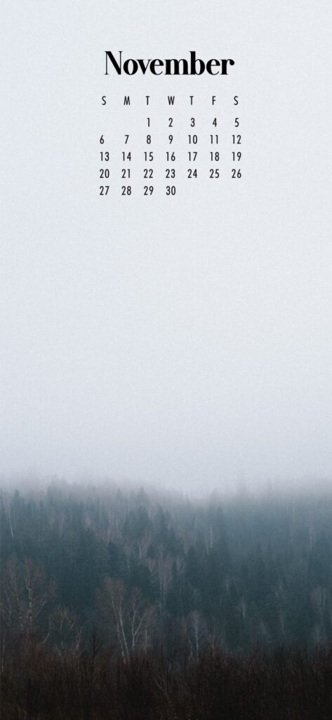 Forest November Wallpaper iPhone