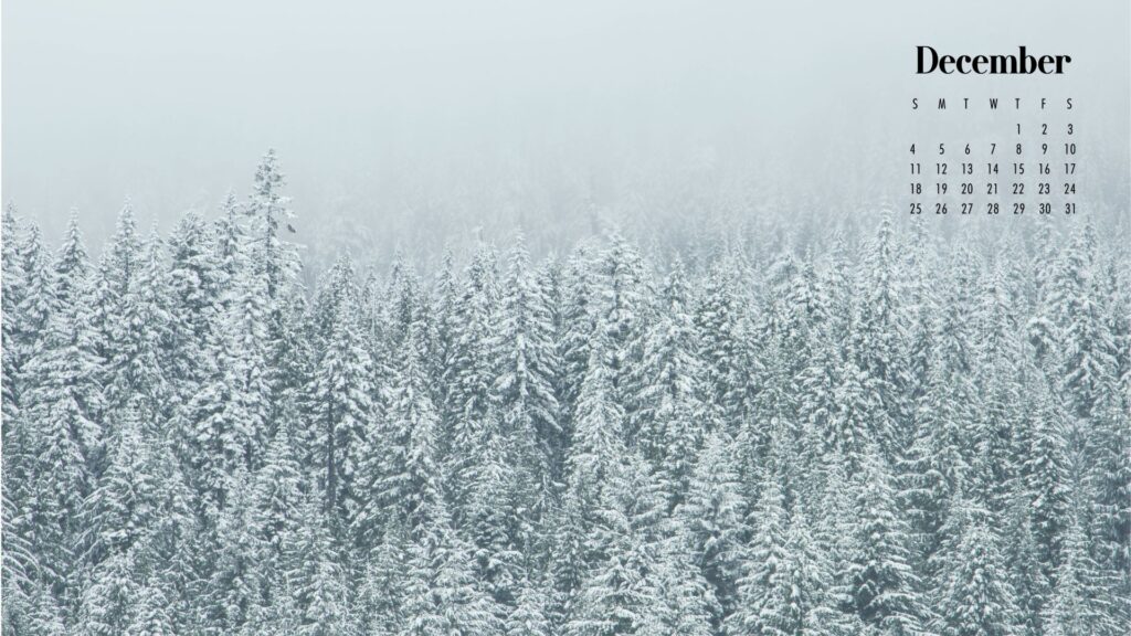 Snowy December Background