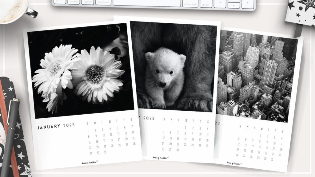 Free Photo Calendar for 2023