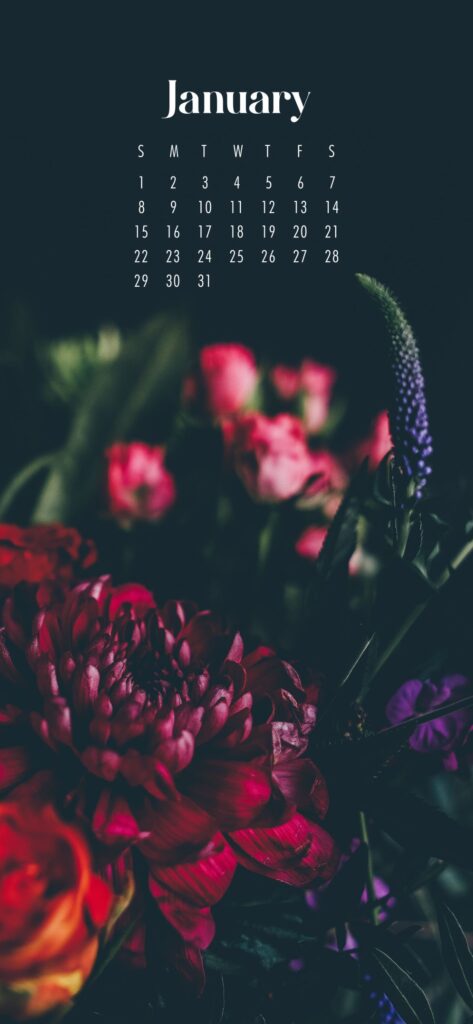 January 2023 Calendar Wallpaper