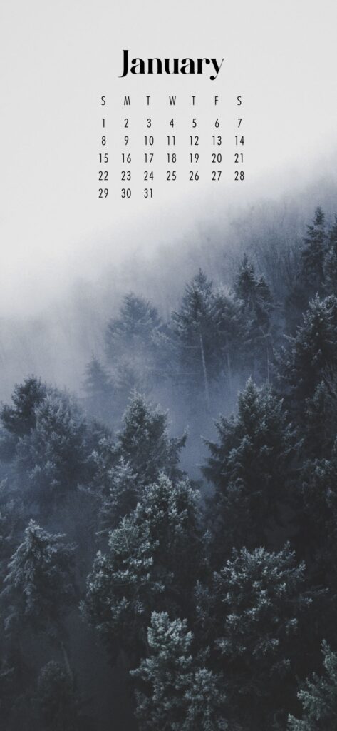 January Calendar Wallpaper Pretty
