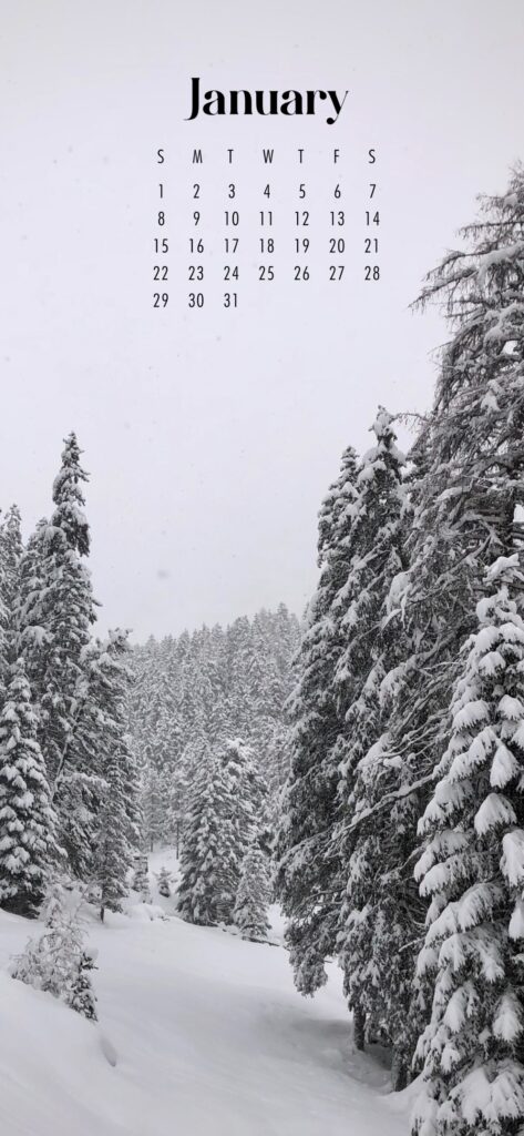 January Wallpaper iPhone
