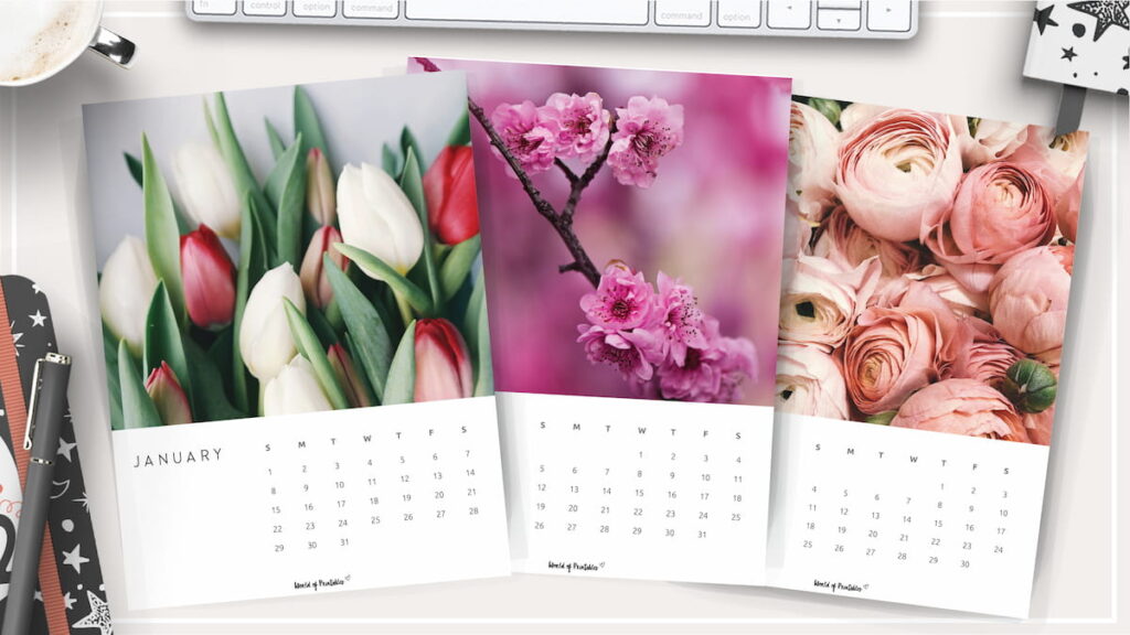 Nature Photography Calendar for 2023