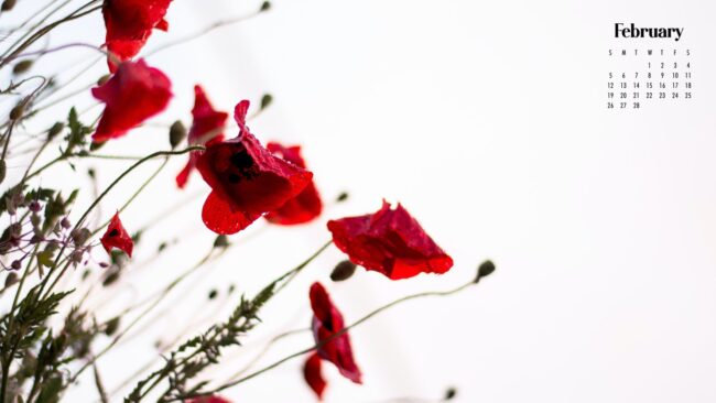 February Calendar Wallpaper 90  Best Desktop Phone Backgrounds