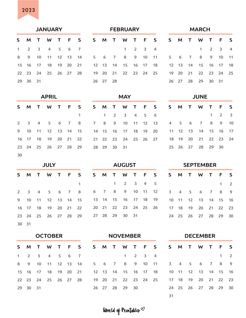 2023 Planner 2023 Calendar