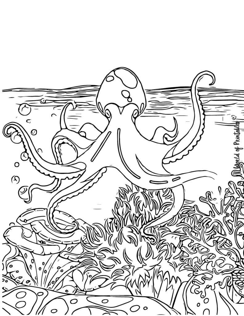 Octopus Coloring Pages - World of Printables