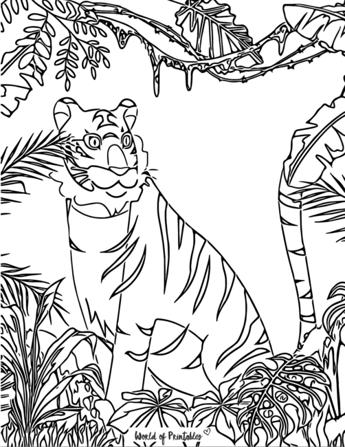Tiger Coloring Pages-6
