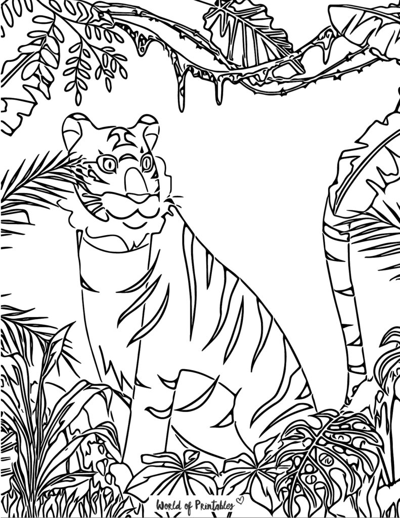 Tiger Coloring Pages - World of Printables