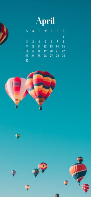 phone background of colorful hot air balloons in the sky