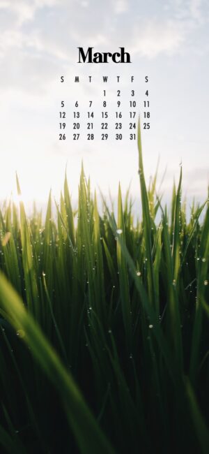 Aesthetic March Calendar Wallpaper