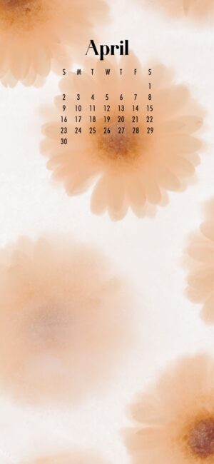 phone wallpaper of soft pastel flowers