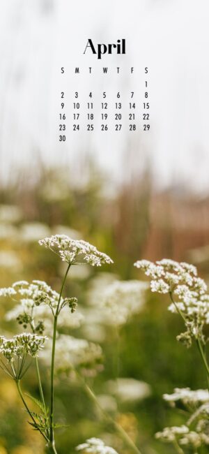 phone background of white buds growing