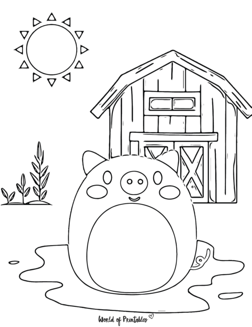 A pig in mud with the sun and a barn