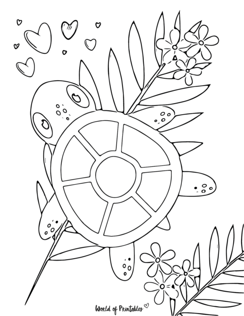 Cute Turtle Coloring - Flowers and Leaves