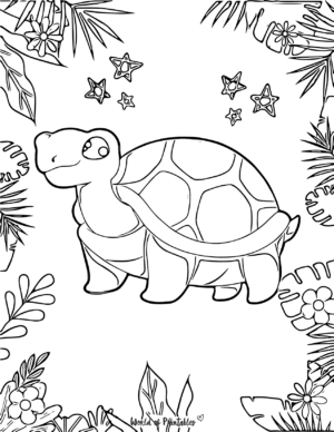 Turtle Coloring Pages - World of Printables