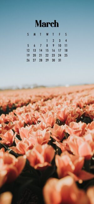 Floral March Background Wallpaper