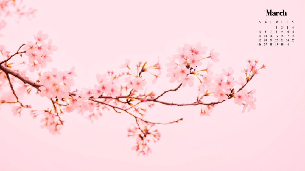 Floral March Background Wallpaper
