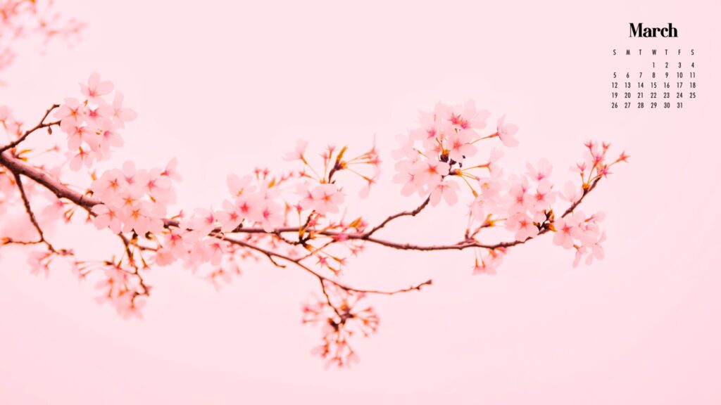 Beautiful March Desktop  Mobile Wallpaper  Free Backgrounds